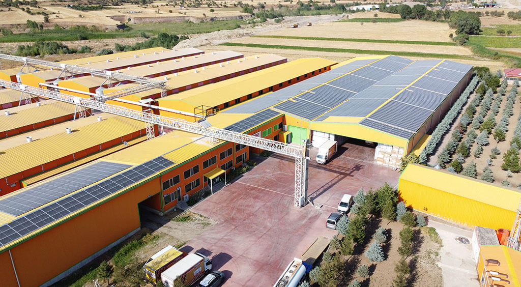 Solar Power Plants